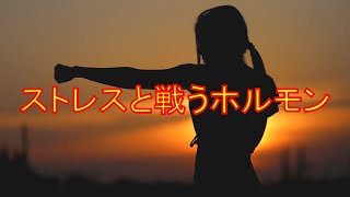ノルアドレナリンの働きについてまとめました