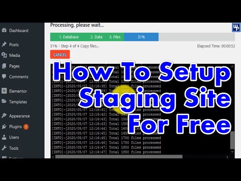 How To Setup Staging Site For Your Main Wordpress Site | 4 Easy Steps
