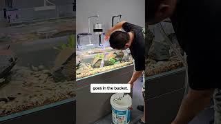 Siphon Gravel Cleaner for your aquarium