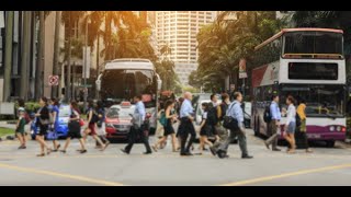 Transport Visualisation