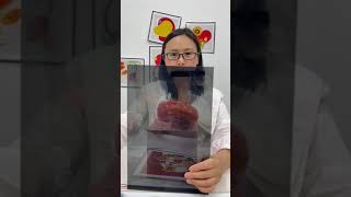 Electric Smart PLDC Smart Film Heat Insulation Window and Glass Film for Laminate Usage