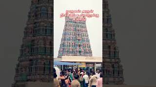 ஓம் சரவணபவ.. #முருகன்துணை #முருகா #முருகன் #முருகப்பெருமான் #முருகன்வழிபாடு #சரவணபவ
