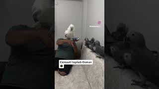 Zikir Çeken Papağan Osman 😍