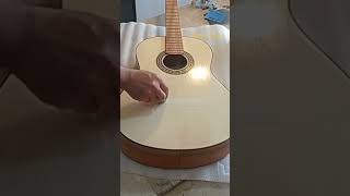 Guitar Finish with Shellac spruce #shellac #finishing #short #shorts