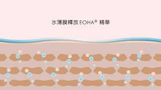 肌膚有效補水的關鍵 讓肌膚自己喝水 | 荷麗美加 EHA 表皮基礎補水系列