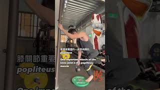 深蹲跑跳旋轉生物力學優化動作
