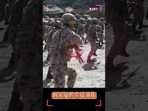 刺杀操的实战演练