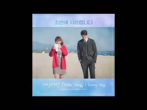 스텔라장 - Sunny Day (1 hour)