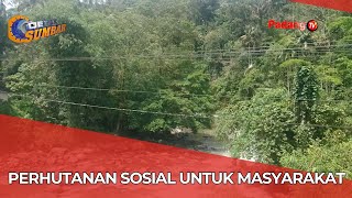 Perhutanan Sosial Untuk Masyarakat