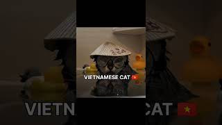 Cats Representing Their Nationalities Too Well😹