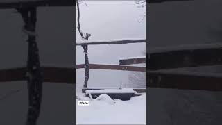 Bagh Kashmir Brf Bare ka khobsort Manzr/(Matiyal Brothers)