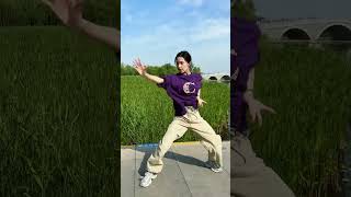 一招一式，养身养心！ #太极 #太极拳 #中华武术博大精深