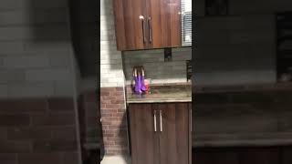 video 569216b1 2a46 4ad6 9c7e 9a78ce5f83db 1665237966