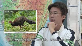莊孟憲老師─曾文溪流域生態探索(上)