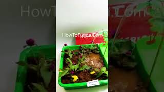 innovative agriculture working model with well and pumping water - #shorts | howtofunda
