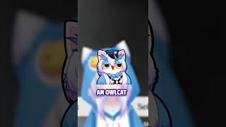 How many identities can chat put on one vTuber