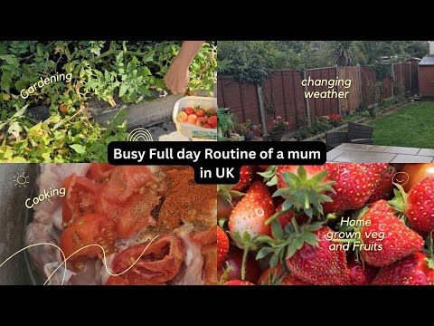 Busy Morning Routine of a House wife in UK, House chores, cleaning, cooking, Gardening #dailyvlog