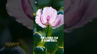 화이팅모먼트 - 오늘도 잘하고 있어#화이팅모먼트  #감성자막영상  #하루한조각살림  #자기응원  #위로가되는말  #힘이되는영상  #오늘도수고했어#마음위로#셀프위로#화이팅