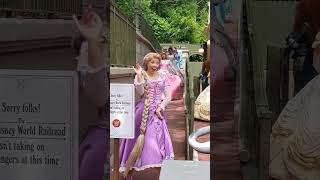 #disneyprincesses  #disneyshorts  #youtubeshorts #disney #waltdisneyworld  #disney #magickingdom