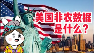 非农数据Non-Farm Payroll是什么？