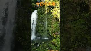 今朝の大滝5月23日は世界かめの日#滝 #waterfall