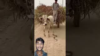 Duniya ki sab se pyariawaaz#azan#islamicvideos#islamicstutus#shortsfeed#quran#shorts#azma