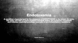 Medical vocabulary: What does Endotoxemia mean