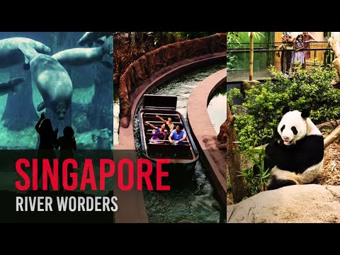 What Makes River Wonders Singapore a Unique Family Destination?