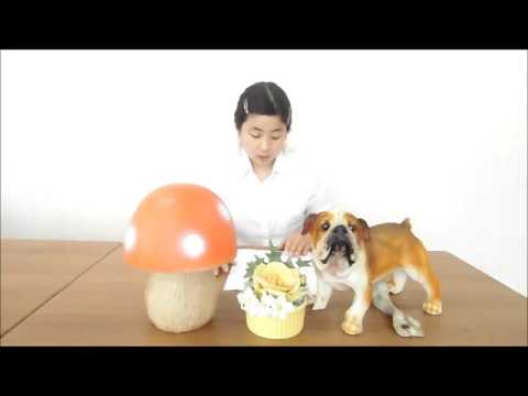 勉強がつまんなくてしかたがない中学生に