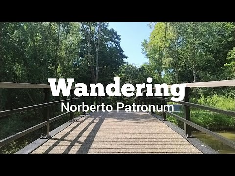 Wandering🐿️ (Official Music Video) - Norberto Patronum