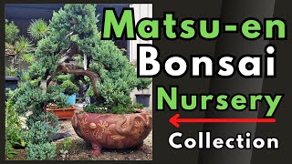 "Matsu-en Bonsai - Uncovering Australia's Private Bonsai Collections #3