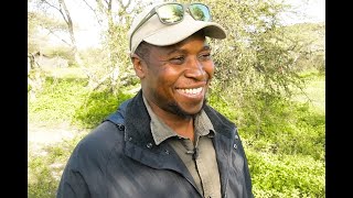 Ndutu with Professional Guides