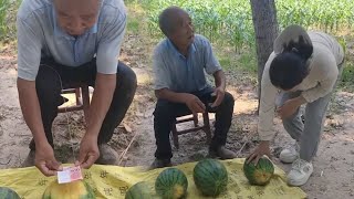 How can someone be so smart that he can make money by selling watermelons?