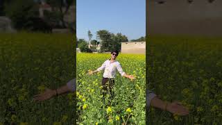 SRK 😍🥰❤️ #youtubeshorts #viral #srk #srkians #jawan #viralshort