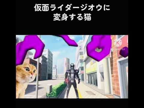 仮面ライダージオウに変身する猫？？？
