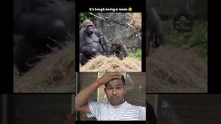 Try to not laugh reaction 🤣 #reaction #reactionshorts #funny #reactionvideo #memes