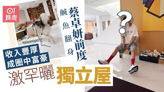 蔡卓妍前度捱過事業低潮成圈中富豪 曬獨立屋收入豐厚擁多個物業｜01娛樂｜陳偉霆