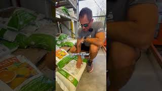 Best Fertilizer for Citrus Trees