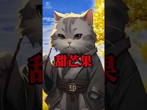 種子與果實精華篇   #修心修行 #說故事