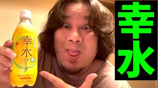 幸水ソーダ飲みながら朝からうつ病の話をする無職！