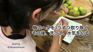 【おうちで手作りジュース】宮崎県日向夏・梅ジュース女子アナ47牛島奈津子