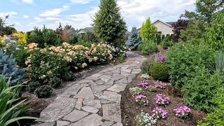 Planting Blue Wheat, Pear’d Roses, New Ironweed & Superbena! 😍🌾💚 // Garden Answer
