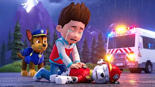 Paw Patrol Ultimate Rescue | Good Bye My Friends!! - Ryder Sad Story | Full Episodes |  Rainbow 3