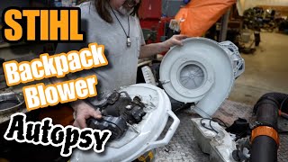Why are these STIHL BR 800’s hard to start? Let’s Crack The Code