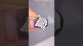 White gold ring: which is better?#jewellery #youtubeshorts #shorts