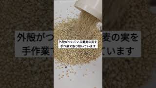 【農家の日常】蕎麦の実の選別作業