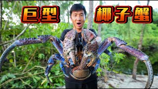 《所罗门群岛》第4集：28小时荒野挑战，满山遍野布陷阱，只为捕获巨型椰子蟹   #荒岛探索 #潜水 #赶海 #椰子蟹  #抓龙虾 #荒野挑战 #抓螃蟹 #ocean #underwaterfinds
