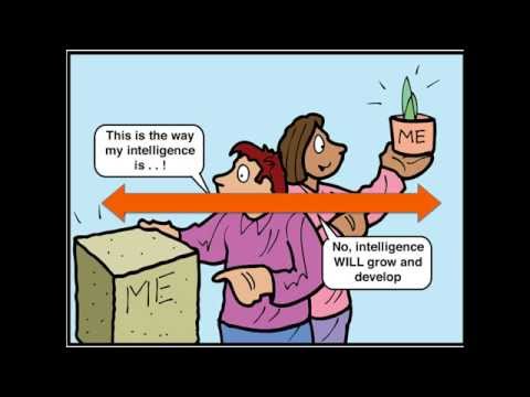 2. TST Expecations Mindset Intro