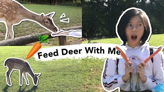 VLOG | Hidden Place in Düsseldorf Germany | Wildpark Grafenberg Wald 2020
