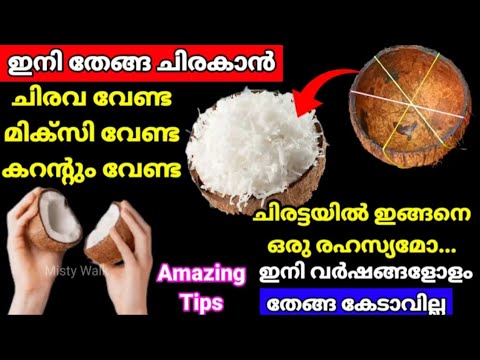 The coconut is amazing! Now you don't need a mixer to crack the coconut, your hands won't hurt|ti...